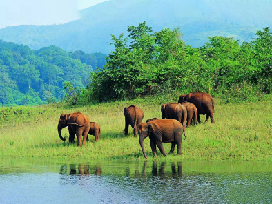 Exotic Kerala Safari